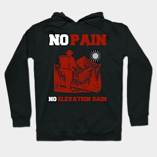 No Pain No Elevation Gain Hoodie